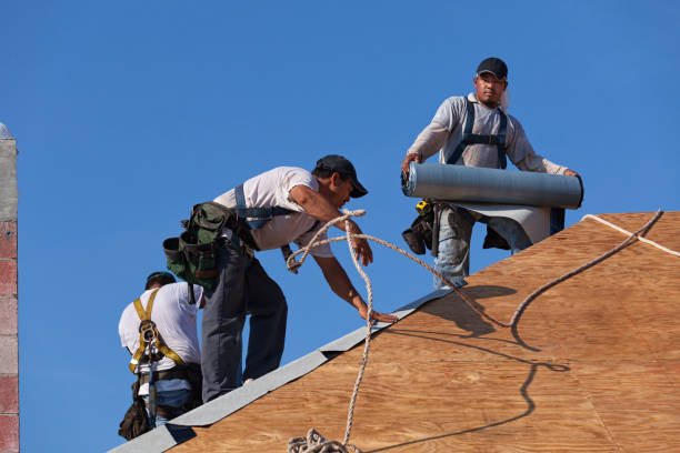 Best Roof Maintenance Services  in Mount Hermon, VA